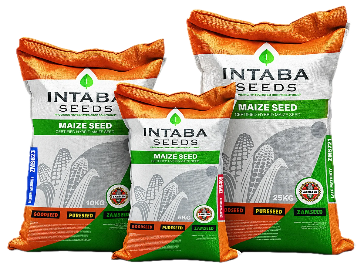 Intaba Seeds maize seed bags: ZMS 623 in 10 kg, ZMS 405 in 5 kg and ZMS 721 in 25 kg